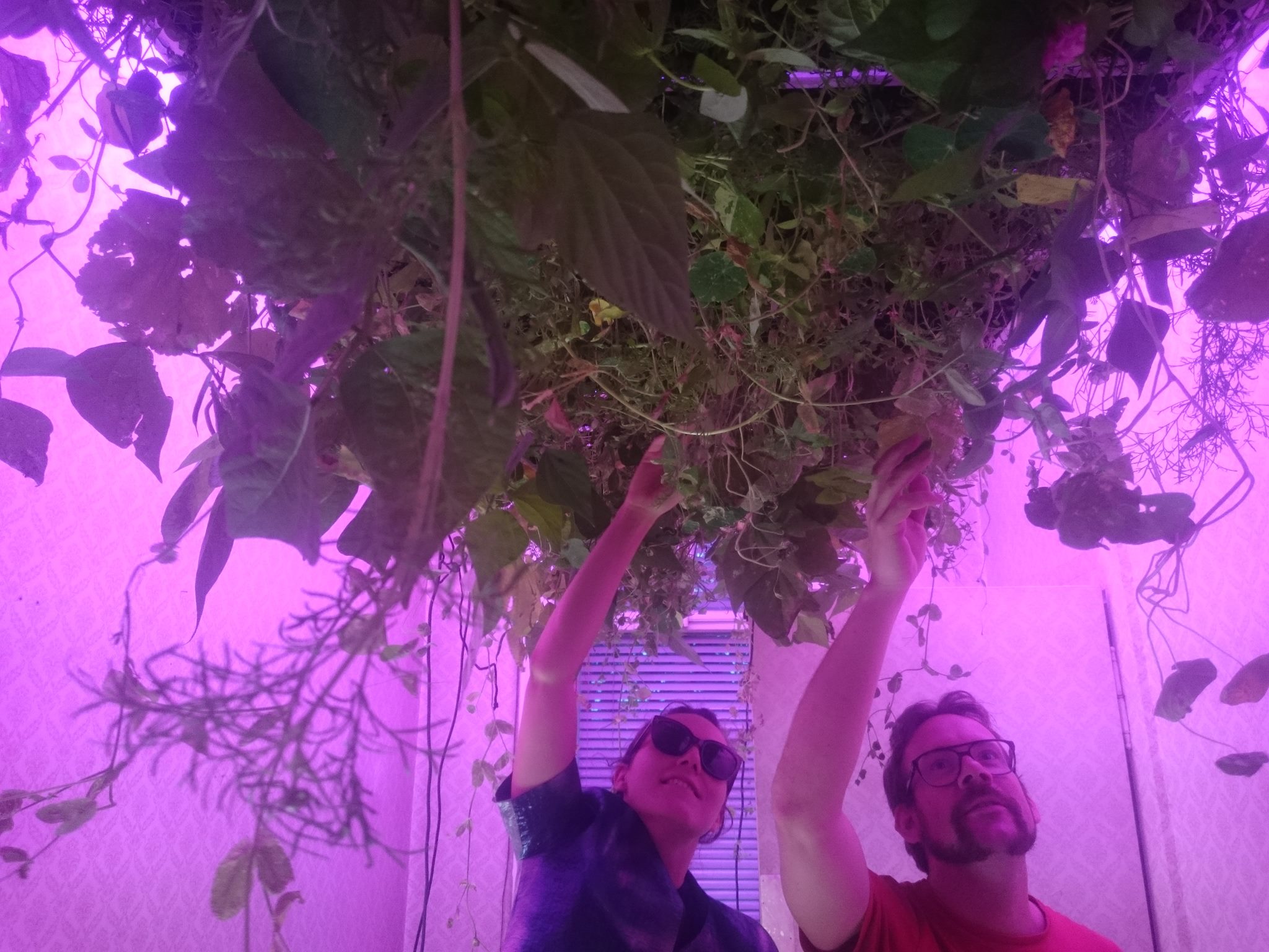 Artistic Dynamic Association